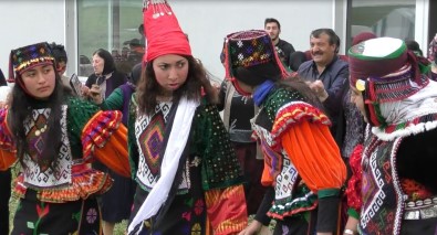 Damalli Kadinlar, Yöresel Türkmen Kiyafetleri Ile Dügünlere Renk Katiyor