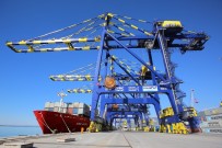 Güneydogu Anadolu Bölgesinin Ayçiçegi Ihracati 9 Ayda 400 Milyon Dolar