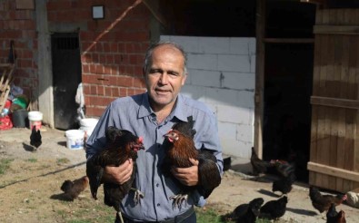 Kirsal Kalkinmaya Yumurta Dopingi