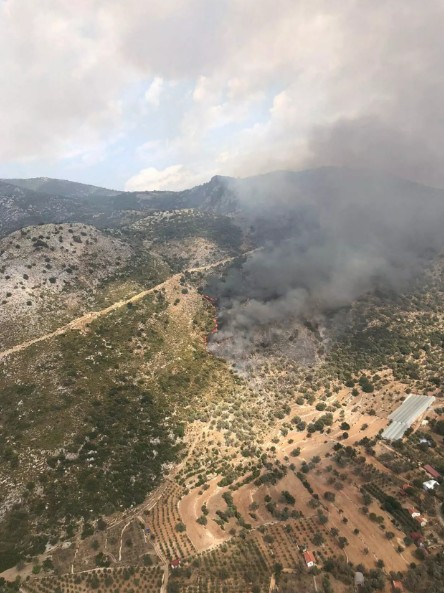 Muğla'da makilik yangını!