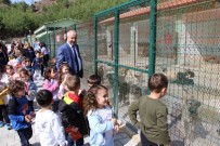 Amasya Belediyesi Hayvan Barinagina Veteriner Hekimler Odasi Baskanindan Tam Puan Açiklamasi 'Gezerken Gurur Duyuyorum'