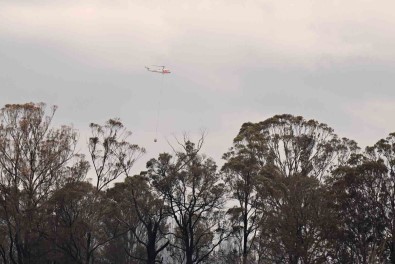 Avustralya'da Orman Yangini Açiklamasi 3 Ev Ile 5 Bin Hektardan Fazla Alan Kül Oldu