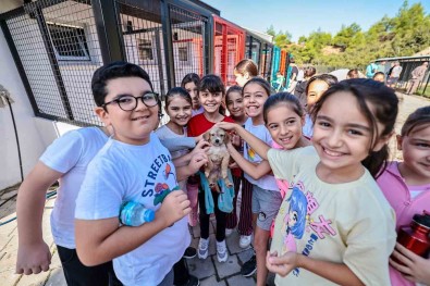 Denizli'de 4 Ekim Çocuklar Ve Hayvanseverlerle Birlikte Kutlandi