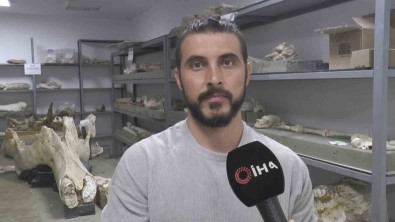 Tashan Kazilarinda 'Zürafa Yili'