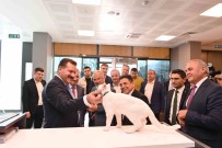 Büyüksehir, Mutlu Patiler Projesiyle Her Ay 5 Bin Sokak Hayvanina Ulasiyor