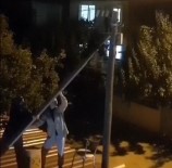 Elektrik Direginde Mahsur Kalan Kediyi Genç Kizlar Kurtardi