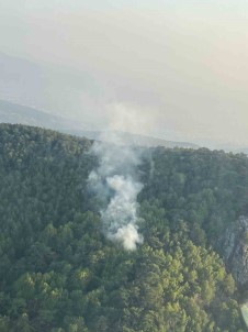 Izmir'de Orman Yangini Açiklamasi 58 Dakikada Kontrol Altina Alindi