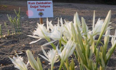 Koparmasının cezası 244 bin TL: Gören hayran kaldı çocuklar koruma altına aldı