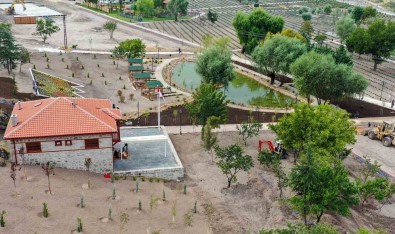 Baskentin En Otantik Nilüfer Havuzu Keçiören'de