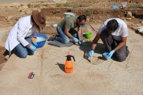 Bin 700 Yillik Mozaikte Restorasyon Ve Konservasyon Çalismasi Basladi