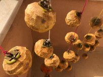 Cennet Hurmalari Kisa Hazirlaniyor