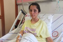 Darp Edilip Biçaklanmisti, Kendisini Öldürmeye Çalisan Doktor Sevgilisinden Sikayetçi Olmadi