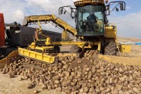 Seker Pancari Alim Fiyati Ton Basina Bin 855 Lira