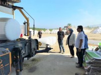 Silajlik Misir Hasadi Sürüyor