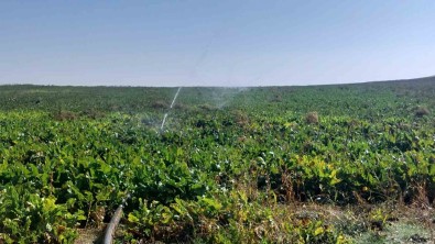 Bireysel Sulama Hibe Destegi Ödemeleri Tamamlandi
