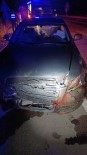 Domuz Sürüsüne Çarpan Otomobildeki 6 Kisi Yaralandi