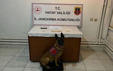 Hatay'da Bin 51 Adet Captagon Hap Ele Geçirildi