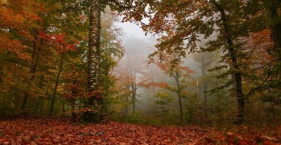 Balikesir'de Temiz Hava Cari Fazlalik Verdi