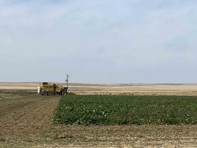 Kulu'da Pancar Hasadi Basladi