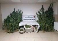 Batman'da Jandarma Ekipleri Bir Ayda 122 Olaya Müdahale Etti