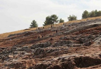 Daha önce bu kadar büyüğüne hiç rastlanmamıştı: Üzerindeki yazı dikkat çekti