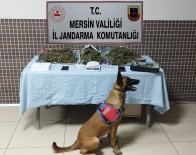 Mersin'de Uyusturucu Operasyonu Açiklamasi 4 Gözalti