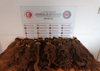 Rusya'dan Gelen Yolcunun Valizinden Çikanlar Soke Etti