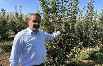 Tarlada 5 Lira Olan Elmanin Fiyati Markette 30 Liraya Kadar Çikiyor