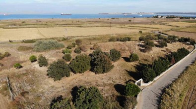 (Özel) Kumkale'de Türk Mezarligindaki Fransiz Aniti Sahte Çikti