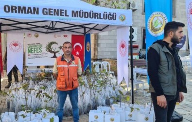 Alapli Gelecege Nefes Oldu