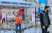 Alapli Gelecege Nefes Oldu