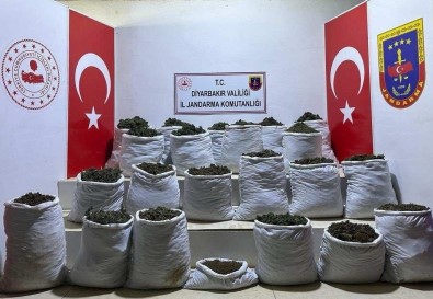 Lice'de 280 Kilo Esrar Ve 244 Bin 500 Esrar Bitkisi Ele Geçirildi
