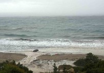 Çesme'de 5 Göçmenin Ölümüyle Ilgili 2 Gözalti