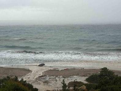 Çesme'de Göçmen Faciasi Açiklamasi Ölü Sayisi 5'E Yükseldi
