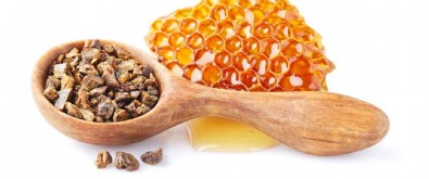 Yüzyıllardır Kullanılan Bağışıklık Desteği Propolis