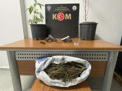 Yalova'da Huzur Ve Güvenligi Bozan Sahislara Yönelik Operasyon Açiklamasi 4 Gözalti