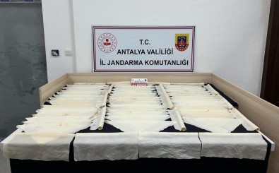 Antalya'da 1 Milyon Kullanimlik Bonzai Ele Geçirildi