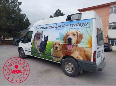 Baskan Sözen, '74 Bin 915 Liralik Köpek Ve Kedi Mamasi Alindi'