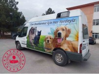 Baskan Sözen, '74 Bin 915 Liralik Köpek Ve Kedi Mamasi Alindi'