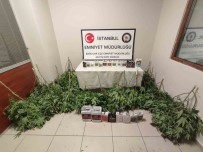 Evinde Uyusturucu Madde Yetistirmek Için Kurdugu Düzenek Nedeniyle Yangin Çikti