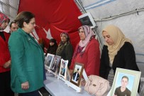 TBMM Insan Haklari Inceleme Komisyonu Heyeti, Diyarbakir Anneleriyle Bir Araya Geldi