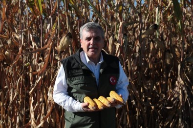 Atik Su Gübresi Yüksek Rekolte Getirdi