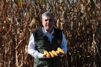 Atik Su Gübresi Yüksek Rekolte Getirdi