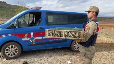 Nesli Tehlike Altindaki 4 Bin Kusla Yakalanan Sahsa 5 Milyon 600 Bin TL Ceza