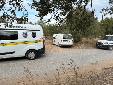 Çocuklarin Çaldigi Araç Zeytinlikte Bulundu