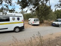 Çocuklarin Çaldigi Araç Zeytinlikte Bulundu