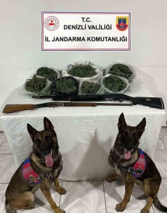 Denizli'de 5 Uyusturucu Saticisi Tutuklandi