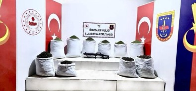 Diyarbakir'da 454 Kilo Esrar Ele Geçirildi Açiklamasi 3 Gözalti