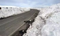 Yoğun kar yağışı! Kara yolu 5 ay kapalı kalacak