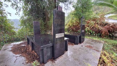 ABD'de Uzayli Olduguna Inanilan Meyves Nine Gizemini Koruyor